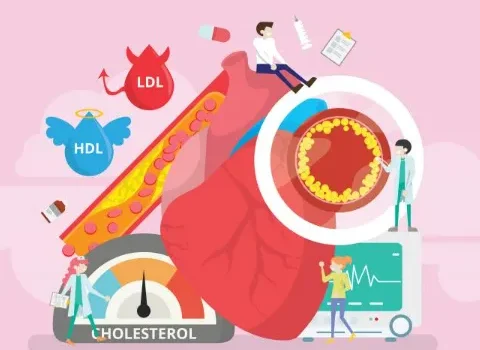 Why Younger Adults Should Prioritize Cholesterol Screenings