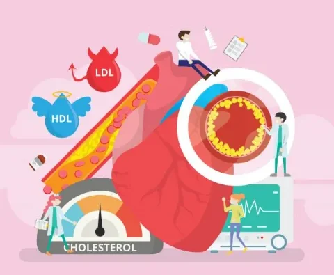 Why Younger Adults Should Prioritize Cholesterol Screenings