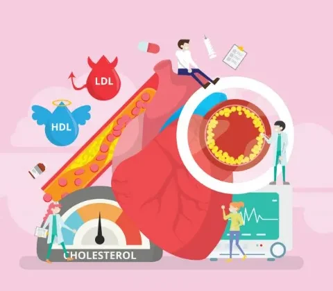 Why Younger Adults Should Prioritize Cholesterol Screenings