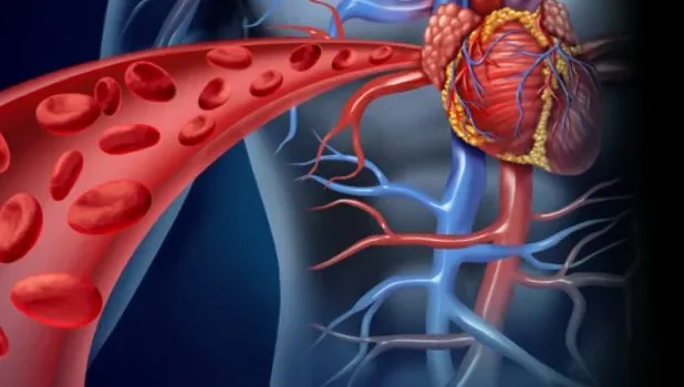 How High Cholesterol Increases Your Risk for Heart Disease