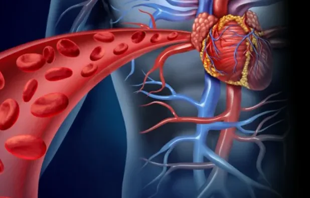 How High Cholesterol Increases Your Risk for Heart Disease