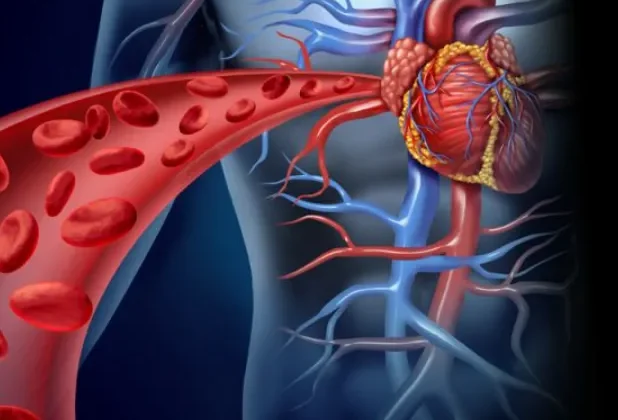 How High Cholesterol Increases Your Risk for Heart Disease
