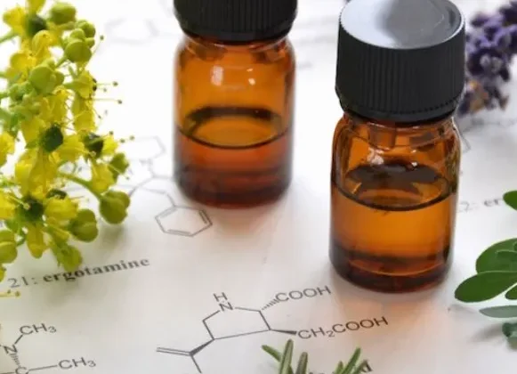 A Beginner’s Guide to Using Essential Oils for Wellness